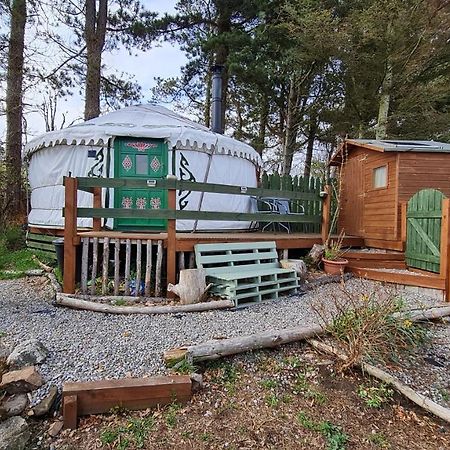 The Tall Pines Yurt Helmsdale Exterior foto