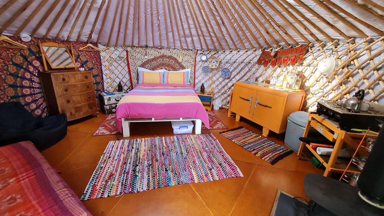 The Tall Pines Yurt Helmsdale Exterior foto