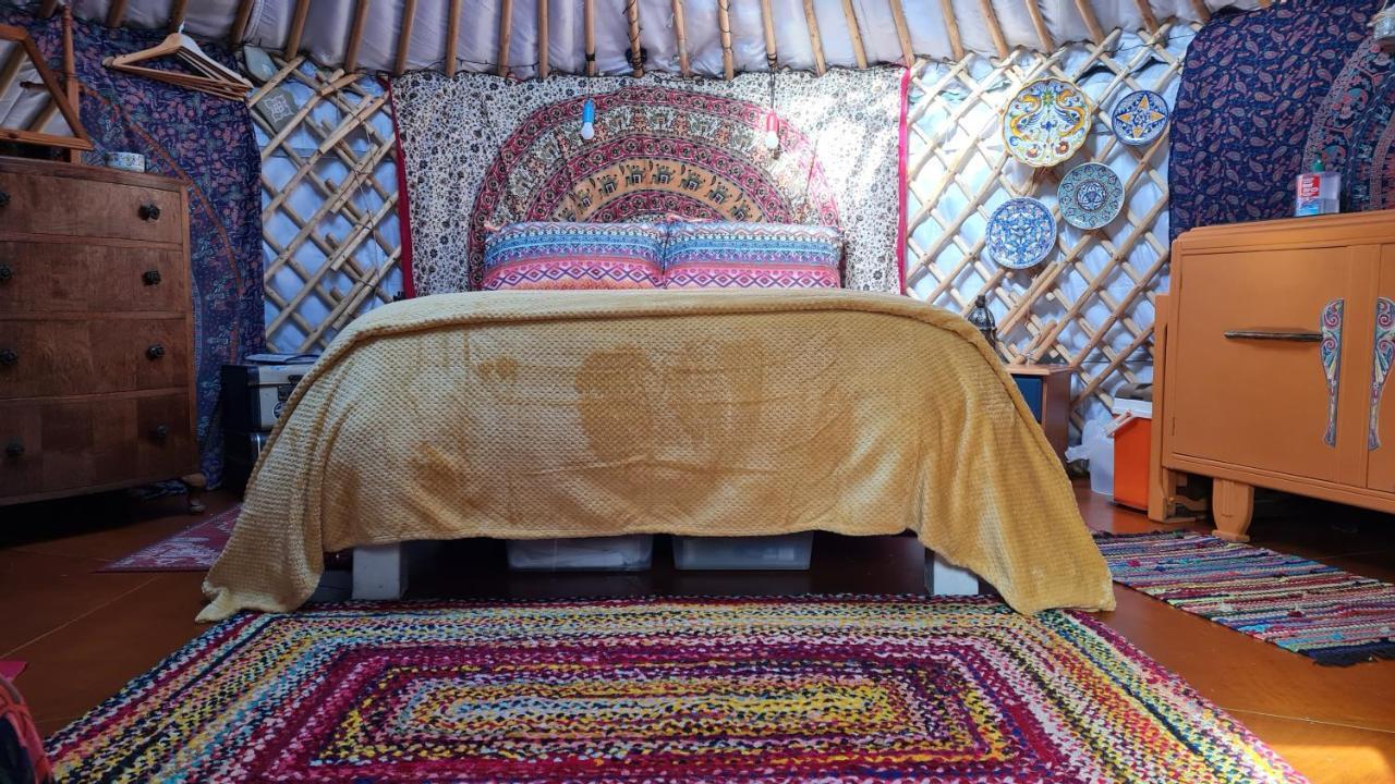 The Tall Pines Yurt Helmsdale Exterior foto